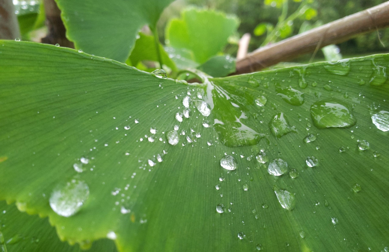 小黑ddos压力测试平台